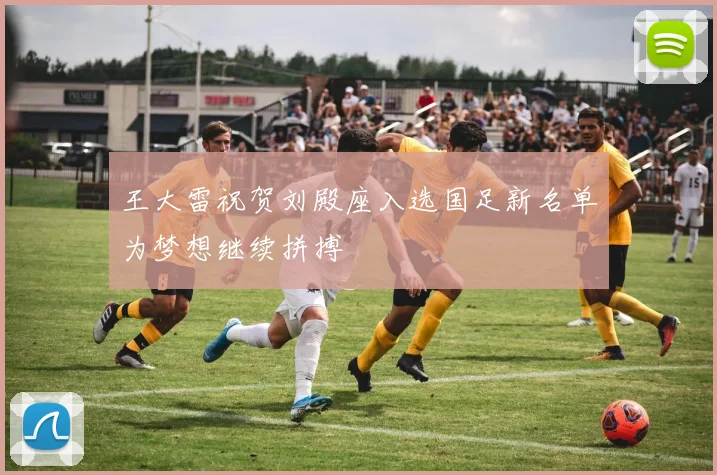 王大雷祝贺刘殿座入选国足新名单为梦想继续拼搏