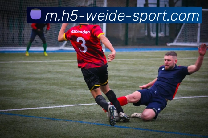 伟德体育平台生态图