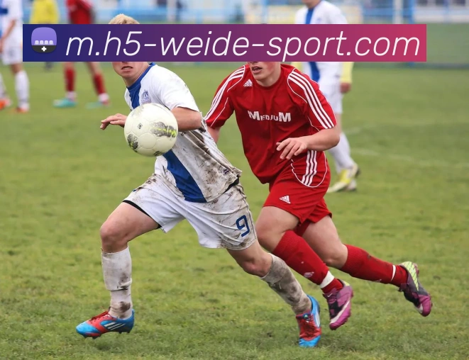 伟德体育APP 封面图